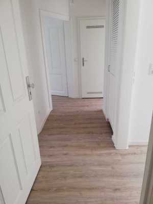 Anfragestopp // Helle und gut geschnittene 3-Zimmerwohnung