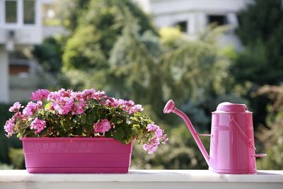 *Gemütlich unterm Dach*