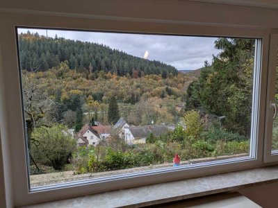 1.5 Zimmer Wohnung mit schöner Aussicht