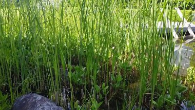 EXKLUSIV: GROSSZÜGIGES FAMILIENREFUGIUM MIT SENSATIONELLEM HAHNENKAMMBLICK - KITZBÜHEL