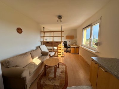 Direkt am Wasser - möblierte sonnige Kleinwohnung mit einem wunderbaren Panoramablick über die Donauinsel, 22 Bezirk