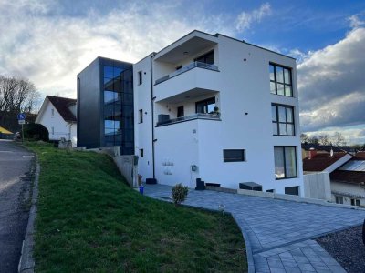 Neuwertige 5,5-Zimmer- Penthouse Wohnung in Sinsheim/Waldangeloch