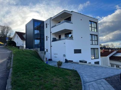 Neuwertige 5,5-Zimmer- Penthouse Wohnung in Sinsheim/Waldangeloch