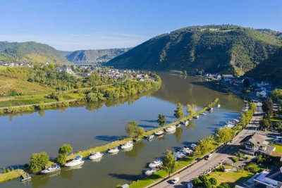 Moselview - Exklusives Einfamilienhaus mit Einliegerwohnung und vielen Extras!