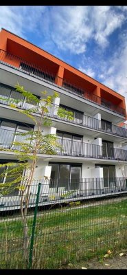 Kapitalanlage oder cleveres Starter-Home–13 kernsanierte 1-Zimmer-Apartments in Mannheim-Gartenstadt