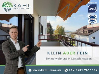 Gemütliche 1-Zimmerwohnung mit Balkon-PV-Anlage in Haagen