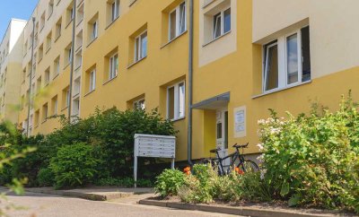 Ideal für den Start!