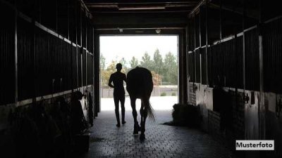 Landwirtschaftliche Hofstelle - provisionsfrei