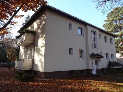 Erstbezug nach Sanierung: Single-Wohnung( 2-Zi. in Frohnau, großer Garten, ruhige Lage