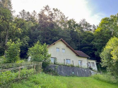 [06150] RESERVIERT - Wald Wiesen Bach - Haus in Bromberg/Schlatten