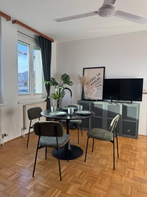 Ruhige Wohnung im beliebten Linz-Urfahr