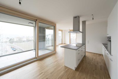 4 -  Zimmer Wohnung C 20 (Penthouse)