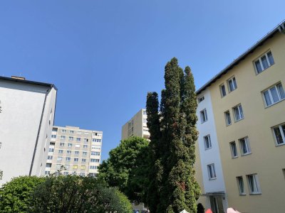 Schrebergasse 19/4