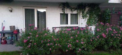 Schöne und gepflegte 2-Zimmer-Erdgeschosswohnung mit EBK in Heidelberg