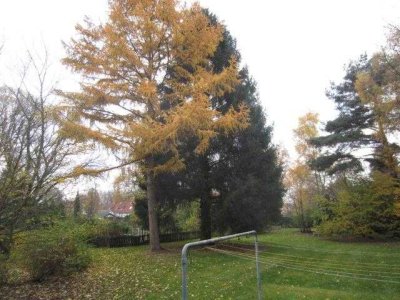 Wohnen in Bottrop-Eigen!