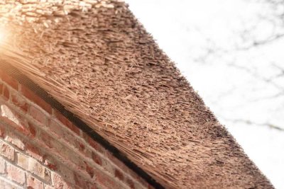 Exklusive Doppelhaushälfte unter Reet -  Nordischer Wohntraum in Böhl