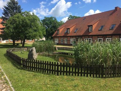 2-Raum-Wohnung mit Laminat, Einbauküche, ebenerdiger Dusche und Terrasse...!!!