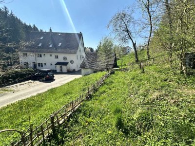 204qm inkl. Küche, 2 Garagen und Garten - Waldrandlage zwischen Überlingen und Pfullendorf