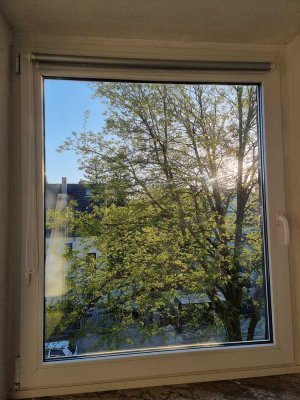Zuhause mit viel Platz in Düsseldorf