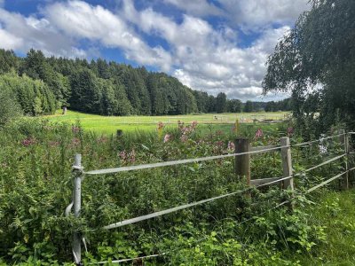 Ruhiges Refugium mit Garten