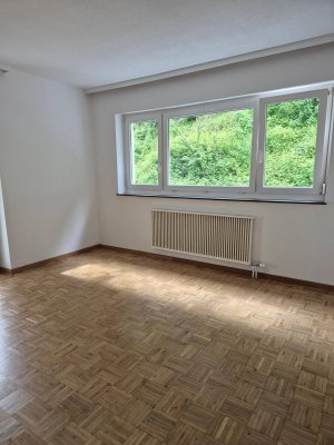 Frisch sanierte Anleger- &amp; Singlewohnung mit Balkon in Götzis