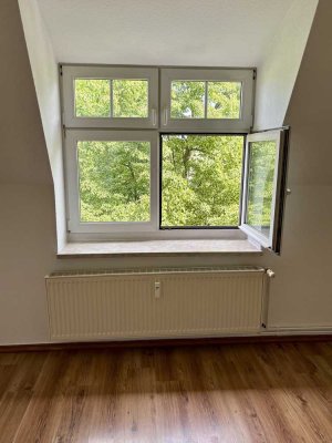Stylische DG-Wohnung! Über den Dächern von Stadtfeld und Top-Anbindung mit Kiez-Flair!