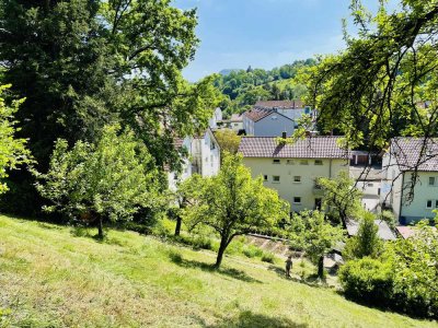 Stilvolle 4-Zimmer-Dachgeschosswohnung mit Küche und großem Garten in der Klarenbergstr. Schw. Gmünd