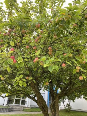 Nachmieter gesucht! Helle 2-Zimmer Wohnung im EG mit Garage in Bayreuth