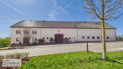 GRENZE L-REMICH/SCHENGEN: RENOVIERTES BAUERNHAUS MIT GROSSEN SCHEUNEN UND STALLUNGEN