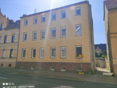 Erstbezug nach Sanierung| Wohnung im EG mit Ofen