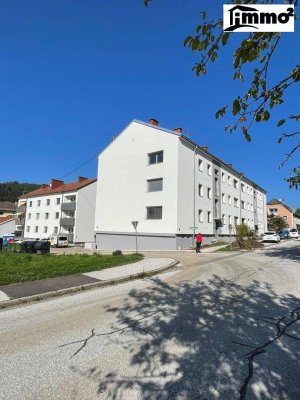 Sanierte Eigentumswohnung zum Top Preis !