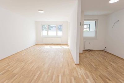 Kernsanierte 4 Zimmer Eigentums- wohnung beim Matznerpark - Erstbezug nach Komplettsanierung! Provisionsfrei zu verkaufen!