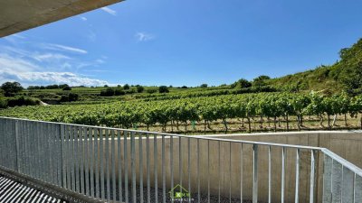 Aussichtslage Top 8: Weingartenblick - 3 Zimmer Eigentumswohnung mit Terrasse