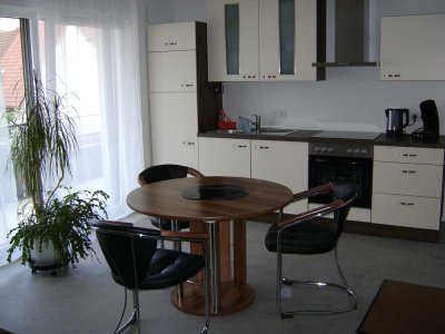 Neuwertige 2 Zimmerwohnung gehobener Innenausstattung mit Balkon und Einbauküche in Hessigheim