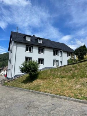Renovierte 3 Zi. Wohnung im EG rechts mit EBK,Keller und Stellplatz in 72275 Alpirsbach, WM: ca.615€