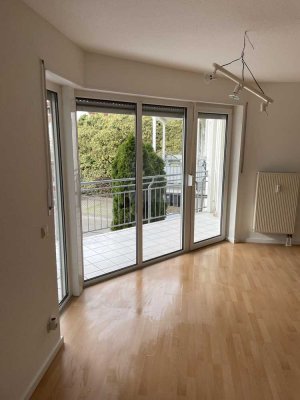 Vollständig renovierte, geräumige 4-Zimmer-Wohnung in Wiesloch-Baiertal mit großem Balkon