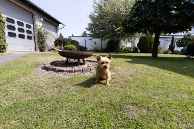 Platz für Familie, Hobby und Beruf – Ein-/Zweifamilienhaus mit großer Garage und Halle