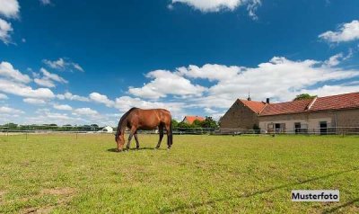 Landwirtschaftliches Anwesen/Pferdehof
