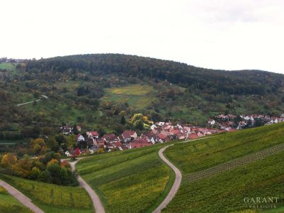 Idyllisches Wohnen, umgeben von Weinbergen und Obstbaumwiesen.