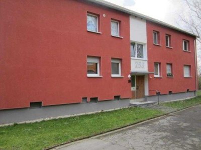 3 Zimmer Wohnung am Revierpark Wischlingen