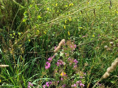 Maßgeschneidert für Ihr Leben
