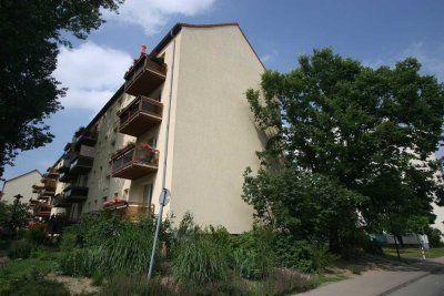 2-Zimmer-Wohnung im Winzerviertel ab sofort anmietbar