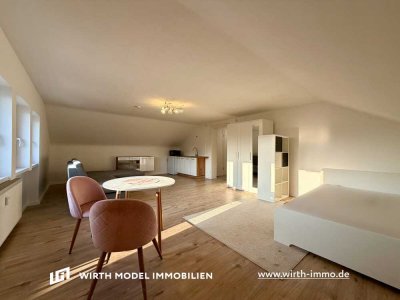 Großzügige und renovierte Ein-Zimmer-Wohnung in bester Lage am Hochfeld
