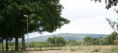 Taunusblick + Terrasse mit Freisitz+ Parkett + EBK