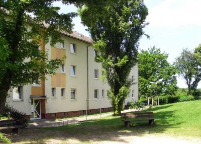 Gut  geschnittene 2-Zimmer-Wohnung zu vermieten!