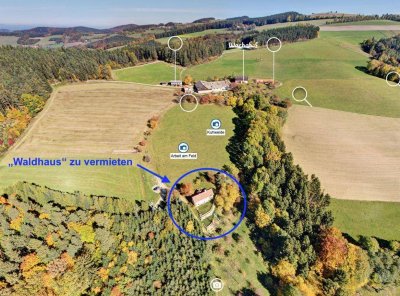 Wohnen, wo andere Urlaub machen – Haus im Grünen