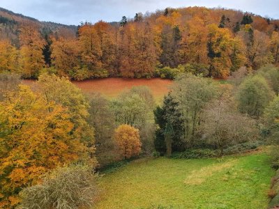 Attraktive lichtdurchflutete Maisonette-Wohnung