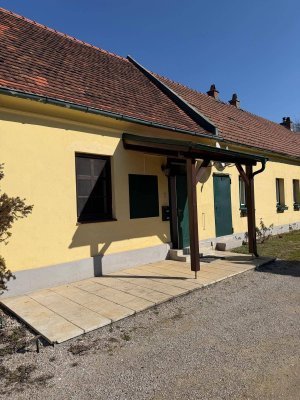Ruheoase am Fuße der Rosalia mit Grünblick und Terrasse: 2 Zimmer Erdgeschosswohnung