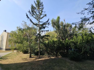 Hier will ich sein in Wiener Neudorf, gartenseitige Wohnung! + Loggia! Optional mit Garage!