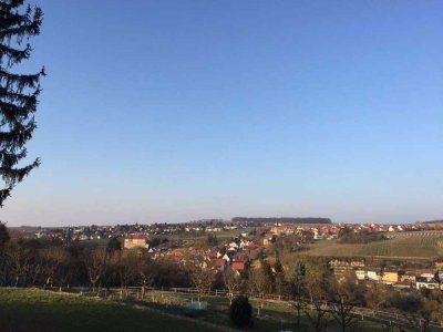 2 Zimmer Wohnung mit Traumaussicht